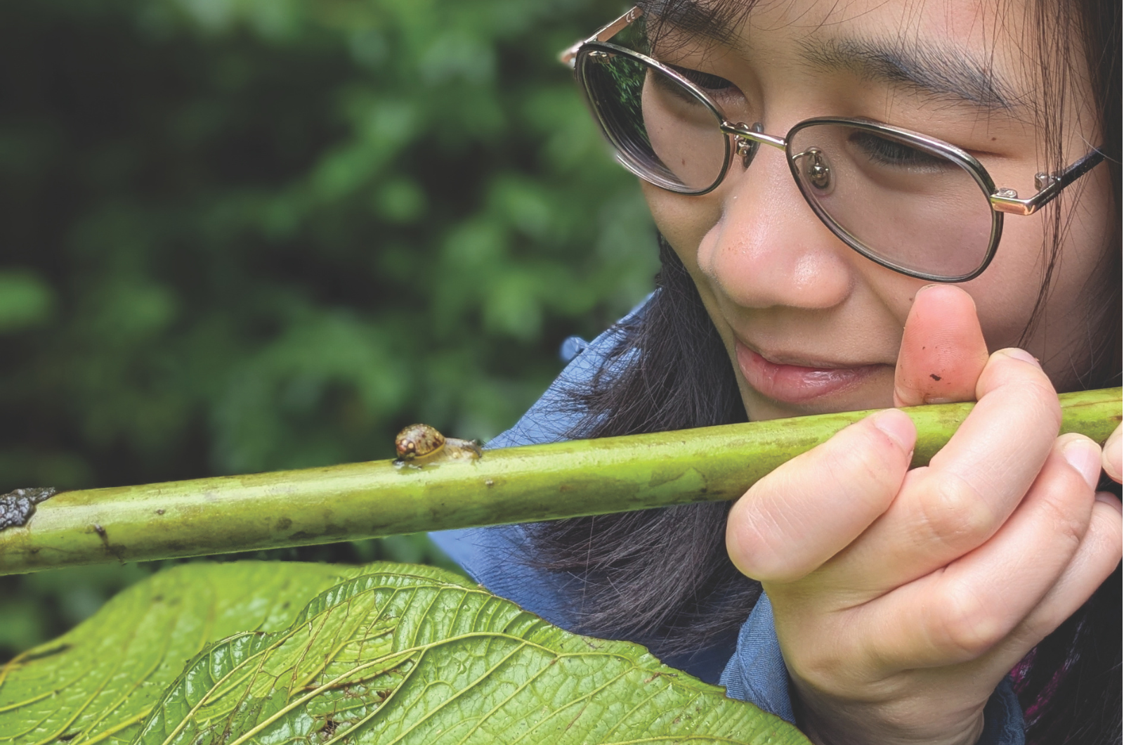 Cloud forest lessons